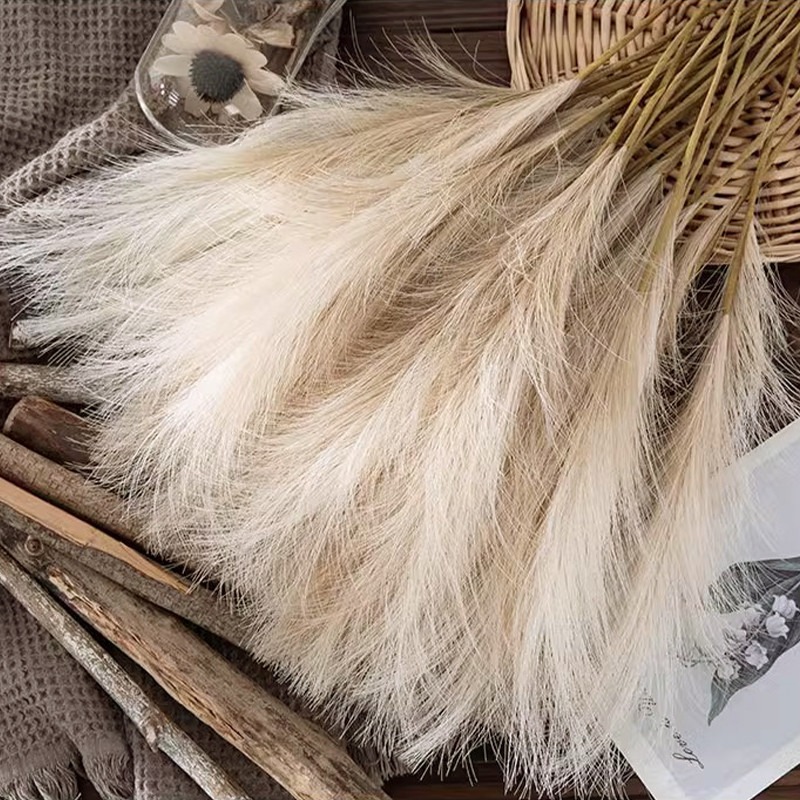 Pampas Grass Decor - 5 Stück/Set Künstliche Blumen Pampasgras Dekoration
