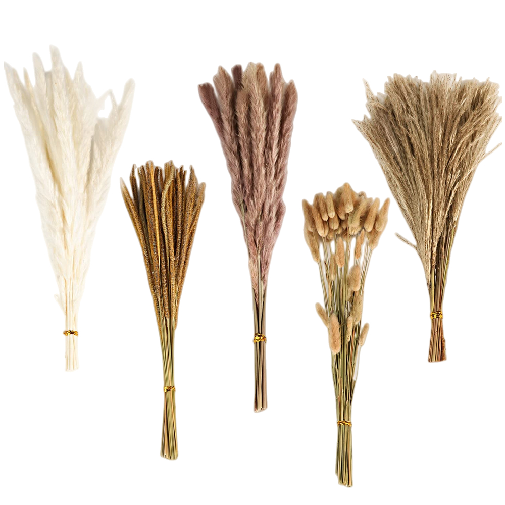 Pampas Grass Decor - Herbstlicher Vintage-Mischblumenstrauß, Pampasgras, Hasenschwanzgras & konservierter