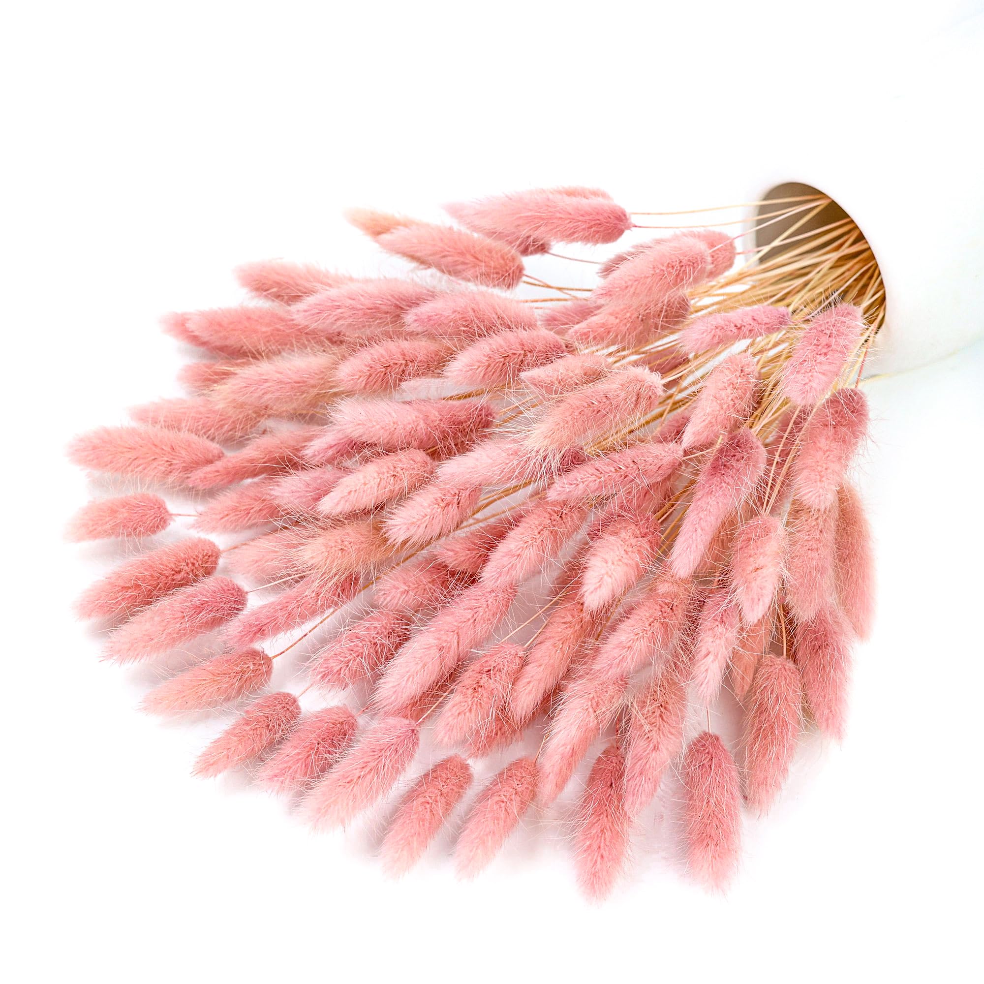 Pampas Grass Decor - 120-Stiel rosa getrocknete Pampas-Häschen-Schwänze, Gras-Dekor, Pompas-Blumen