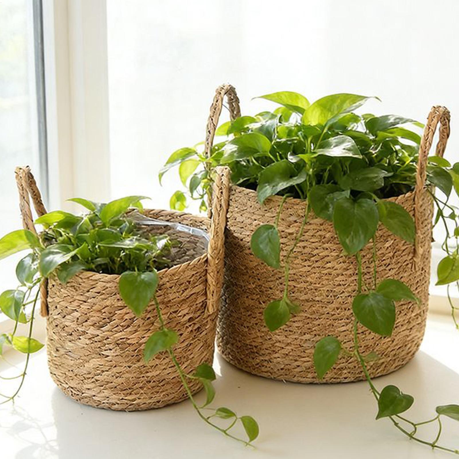 Pflanzkorb aus Stroh, Blumento – Rattan Plant Basket Bewertung und Preis
