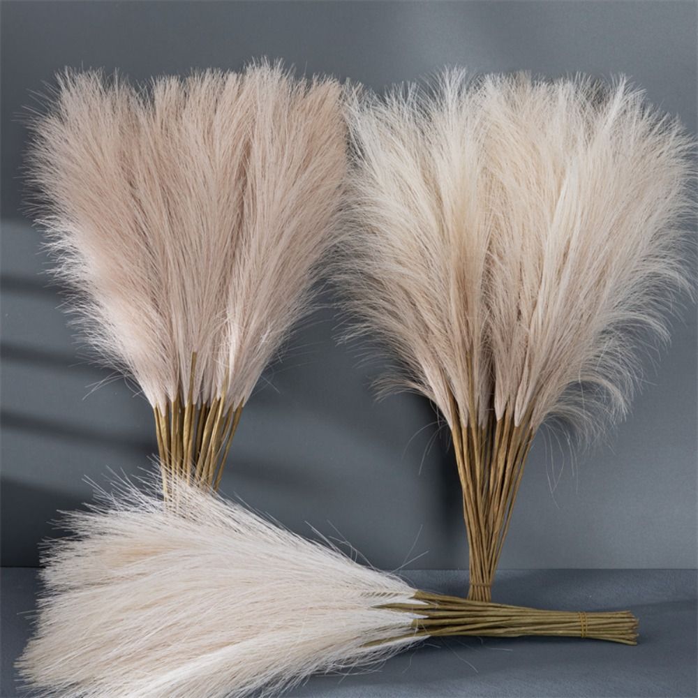 10 Stück/Set Wohndekoration Fl – Pampas Grass Decor Bewertung und Preis