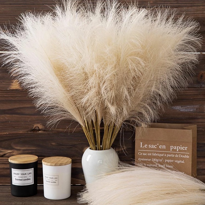 5 Stück/Set Künstliche Blumen  – Pampas Grass Decor Bewertung und Preis