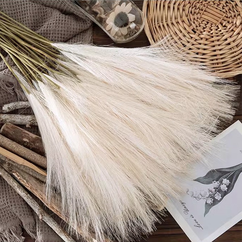 5 Stück/Set Künstliche Blumen  – Pampas Grass Decor Bewertung und Preis