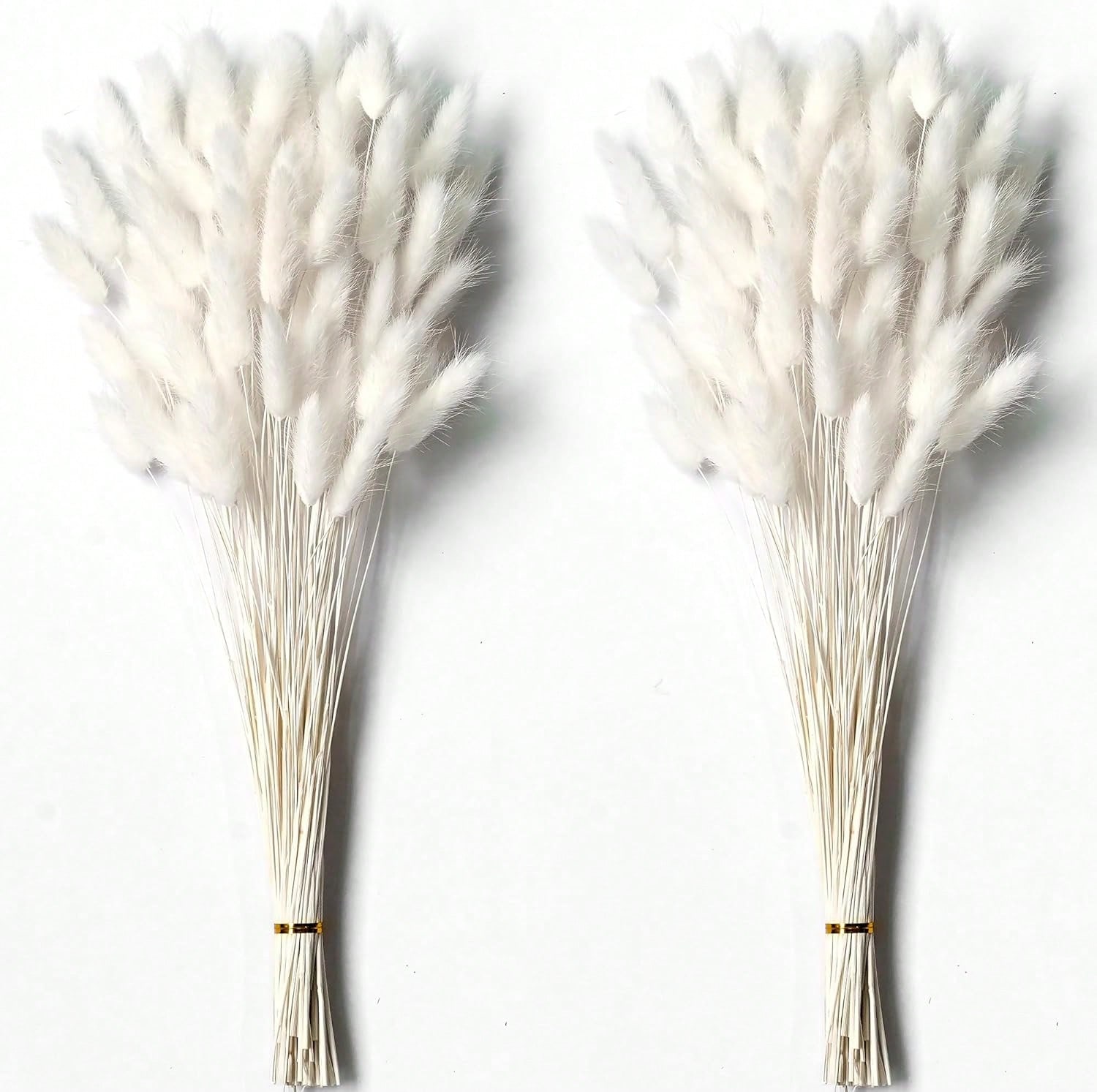 120 Stück getrocknete Pampasgr – Pampas Grass Decor Bewertung und Preis
