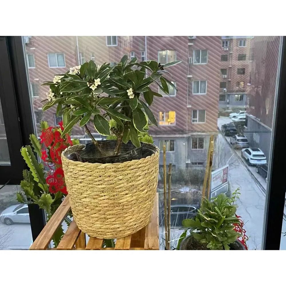1Pcs Für Garten Terrassen Blum – Rattan Plant Basket Bewertung und Preis